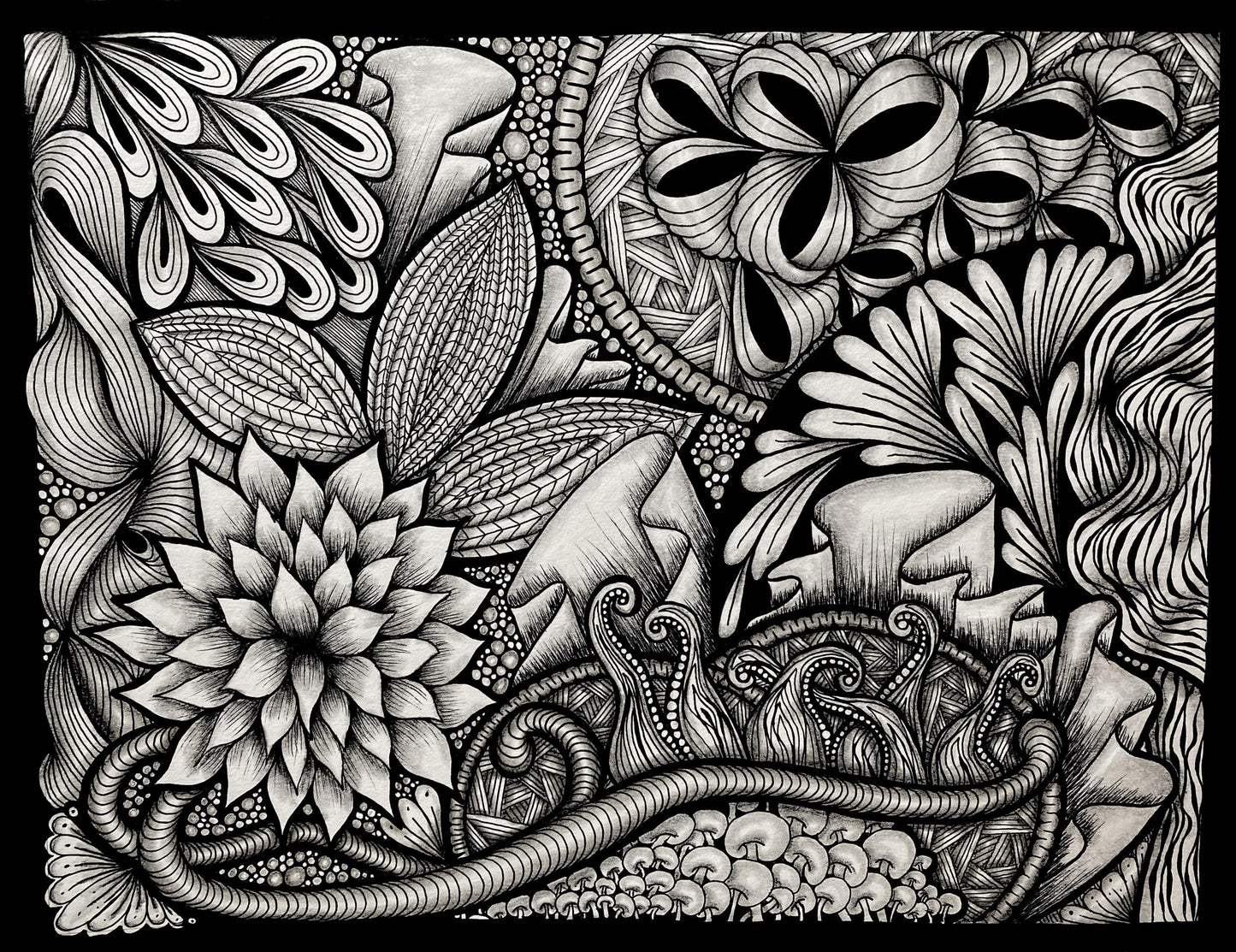 Original Ink Art Drawing - "Sea Life" - Zentangle Style in Frame